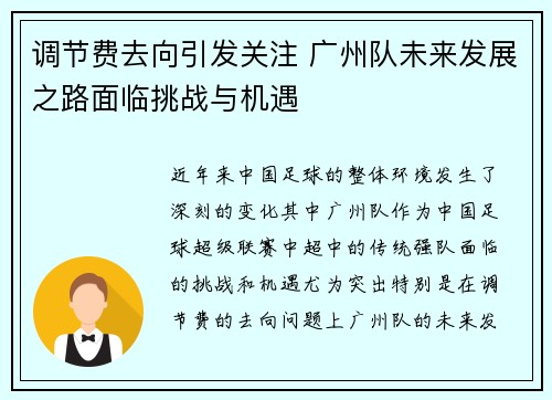调节费去向引发关注 广州队未来发展之路面临挑战与机遇