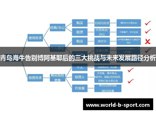 青岛海牛告别博阿基耶后的三大挑战与未来发展路径分析
