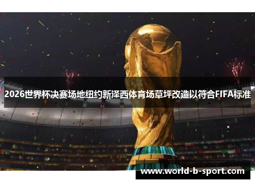 2026世界杯决赛场地纽约新泽西体育场草坪改造以符合FIFA标准